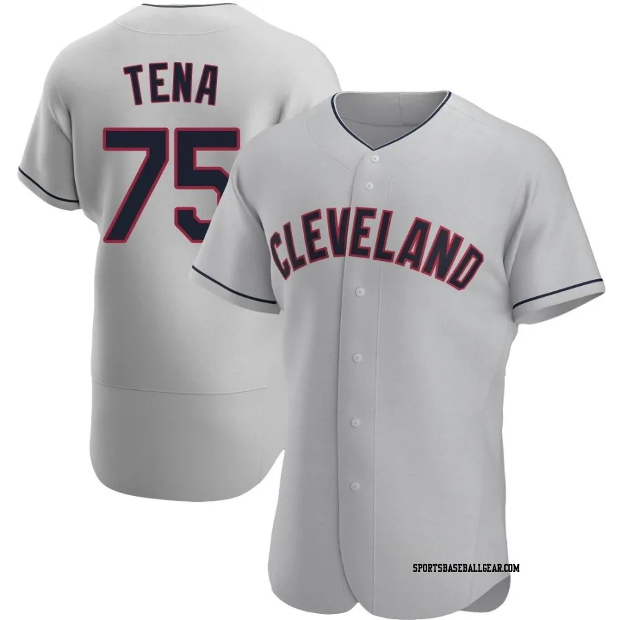 Jose Tena Men's Cleveland Guardians Gray Authentic Road Jersey