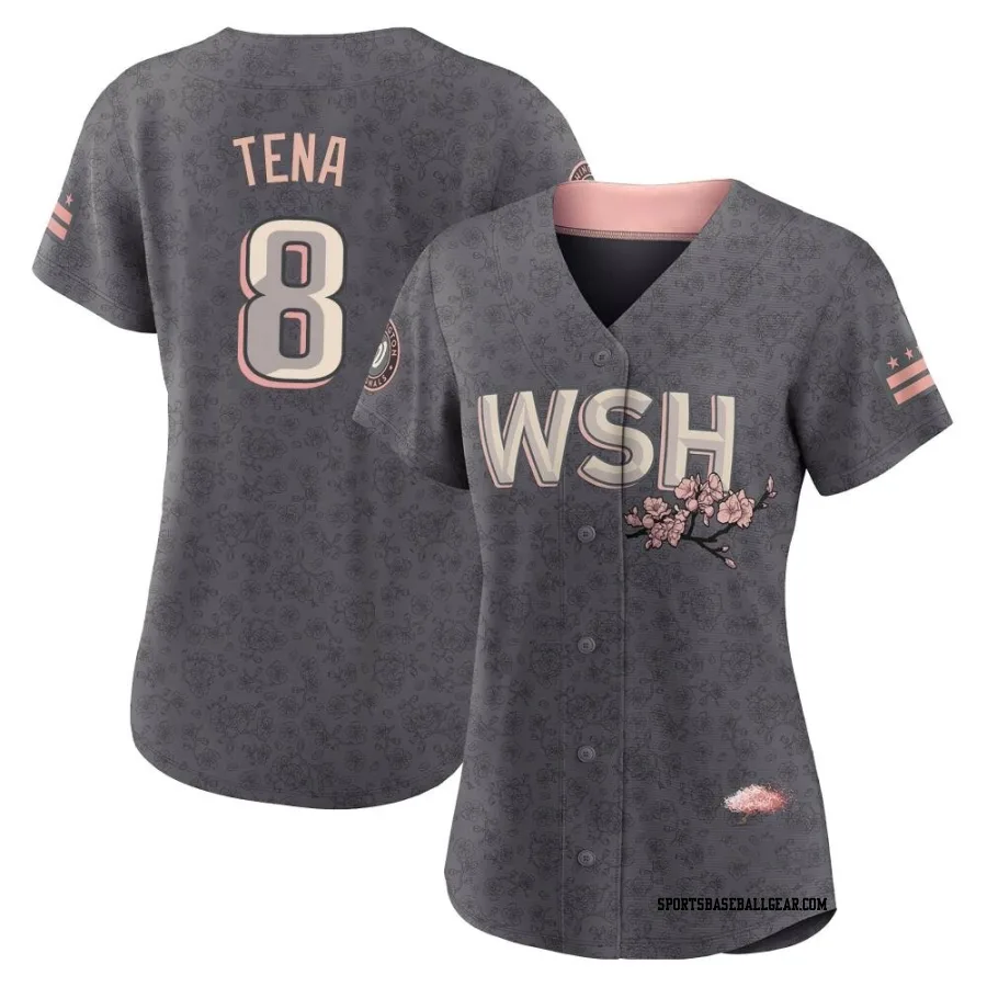 Jose Tena Women's Washington Nationals Gray Replica 2022 City Connect Jersey