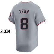 Jose Tena Youth Washington Nationals Gray Limited Road Jersey