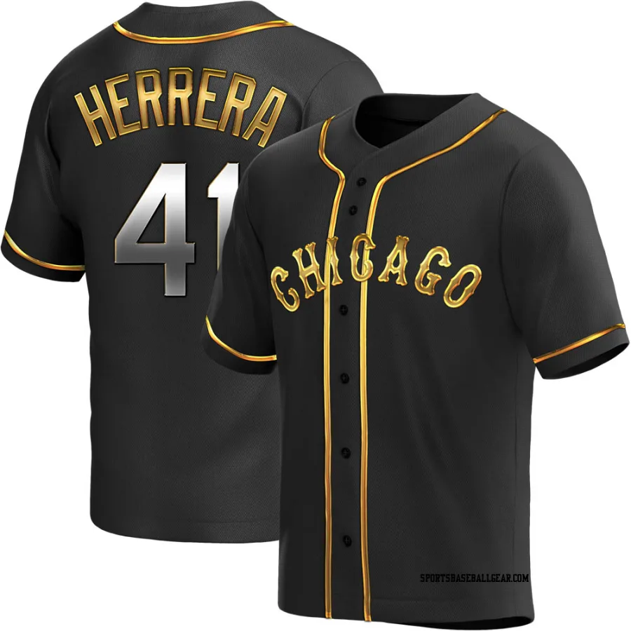 Kelvin Herrera Men's Chicago White Sox Black Golden Replica Alternate Jersey
