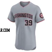 Lucas Sims Men's Washington Nationals Gray Elite Road Jersey