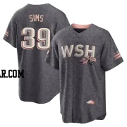 Lucas Sims Men's Washington Nationals Gray Replica 2022 City Connect Jersey