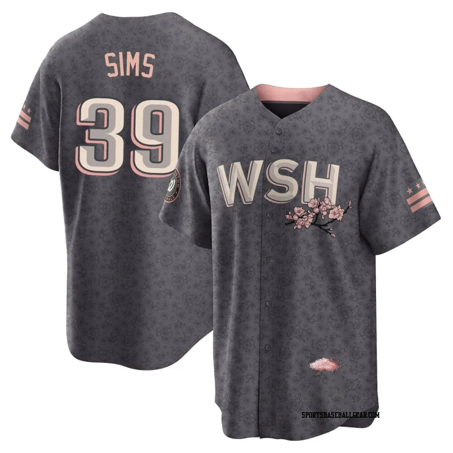 Lucas Sims Youth Washington Nationals Gray Replica 2022 City Connect Jersey