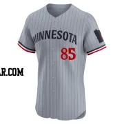 Marco Raya Men's Minnesota Twins Gray Elite Road Jersey