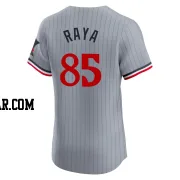 Marco Raya Men's Minnesota Twins Gray Elite Road Jersey