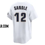 Michael Sandle Men's Houston Astros White Limited Throwback Cooperstown Collection Jersey