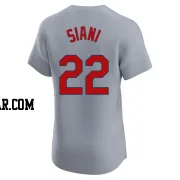 Michael Siani Men's St. Louis Cardinals Gray Elite Road Jersey