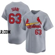 Michael Siani Youth St. Louis Cardinals Gray Limited Away Jersey