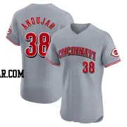Miguel Andujar Men's Cincinnati Reds Gray Elite Road Jersey