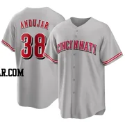 Miguel Andujar Men's Cincinnati Reds Gray Replica Road Jersey