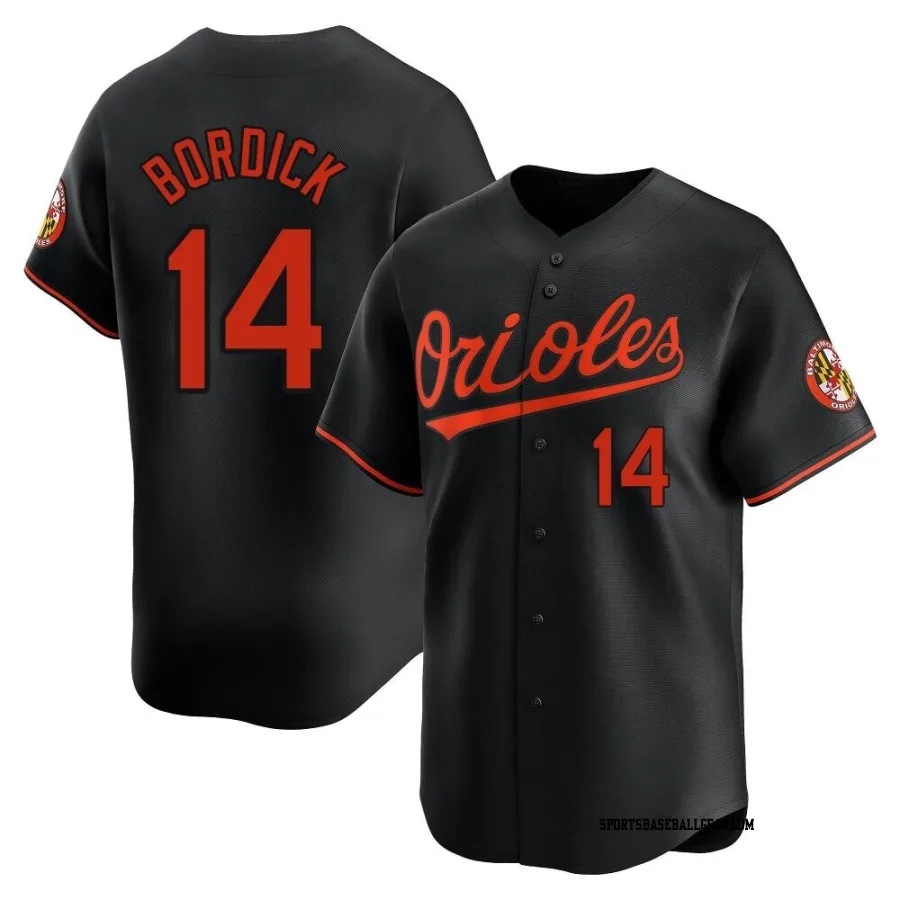 Mike Bordick Men's Baltimore Orioles Black Limited Alternate Jersey