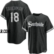 Mike Tauchman Men's Chicago White Sox Black Replica 2021 City Connect Jersey