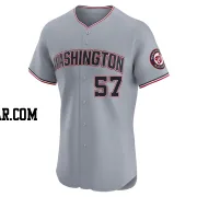 Robert Hassell III Men's Washington Nationals Gray Elite Road Jersey