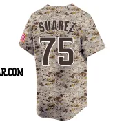 Robert Suarez Youth San Diego Padres Camo Limited 2nd Alternate Jersey