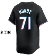 Roddery Munoz Men's Miami Marlins Black Limited Alternate Jersey