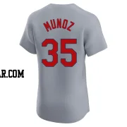 Roddery Munoz Men's St. Louis Cardinals Gray Elite Road Jersey