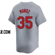 Roddery Munoz Youth St. Louis Cardinals Gray Limited Away Jersey