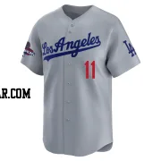 Roki Sasaki Youth Los Angeles Dodgers Gray Limited Away World Series Champions Jersey