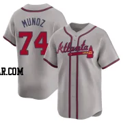 Rolddy Munoz Men's Atlanta Braves Gray Limited Away Jersey