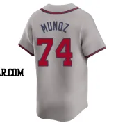 Rolddy Munoz Men's Atlanta Braves Gray Limited Away Jersey