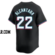 Sandy Alcantara Men's Miami Marlins Black Limited Alternate Jersey