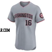 Shinnosuke Ogasawara Men's Washington Nationals Gray Elite Road Jersey