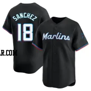 Sixto Sanchez Youth Miami Marlins Black Limited Alternate Jersey