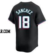 Sixto Sanchez Youth Miami Marlins Black Limited Alternate Jersey