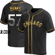 Tanner Banks Youth Chicago White Sox Black Golden Replica Alternate Jersey