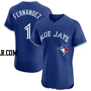Tony Fernandez Men's Toronto Blue Jays Royal Elite Alternate Jersey