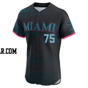 Troy Johnston Men's Miami Marlins Black Elite 2025 City Connect Jersey