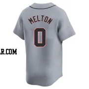 Troy Melton Youth Detroit Tigers Gray Limited Road Jersey