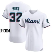 Victor Mesa Men's Miami Marlins White Elite Home Jersey