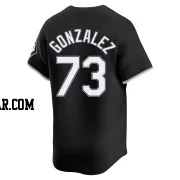 Wikelman Gonzalez Men's Chicago White Sox Black Limited Alternate Jersey