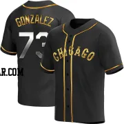 Wikelman Gonzalez Youth Chicago White Sox Black Golden Replica Alternate Jersey