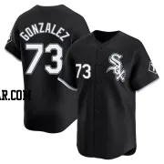 Wikelman Gonzalez Youth Chicago White Sox Black Limited Alternate Jersey
