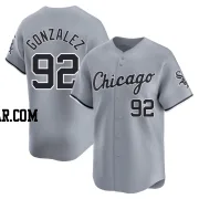 Wikelman Gonzalez Youth Chicago White Sox Gray Limited Road Jersey