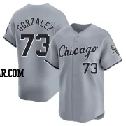 Wikelman Gonzalez Youth Chicago White Sox Gray Limited Road Jersey