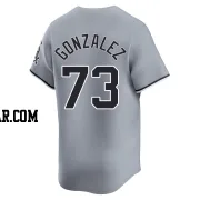 Wikelman Gonzalez Youth Chicago White Sox Gray Limited Road Jersey