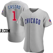 Willi Castro Men's Chicago Cubs Gray Authentic Road Jersey