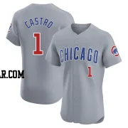 Willi Castro Men's Chicago Cubs Gray Elite Road Jersey