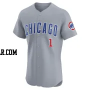 Willi Castro Men's Chicago Cubs Gray Elite Road Jersey