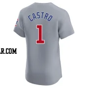 Willi Castro Men's Chicago Cubs Gray Elite Road Jersey