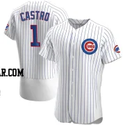 Willi Castro Men's Chicago Cubs White Authentic Home Jersey