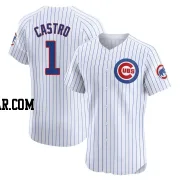 Willi Castro Men's Chicago Cubs White Elite Home Jersey