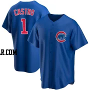 Willi Castro Youth Chicago Cubs Royal Replica Alternate Jersey