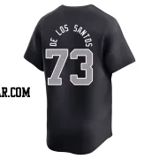 Yerry De Los Santos Youth New York Yankees Navy Limited Yerry De los Santos Alternate Jersey