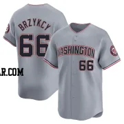 Zach Brzykcy Men's Washington Nationals Gray Limited Road Jersey